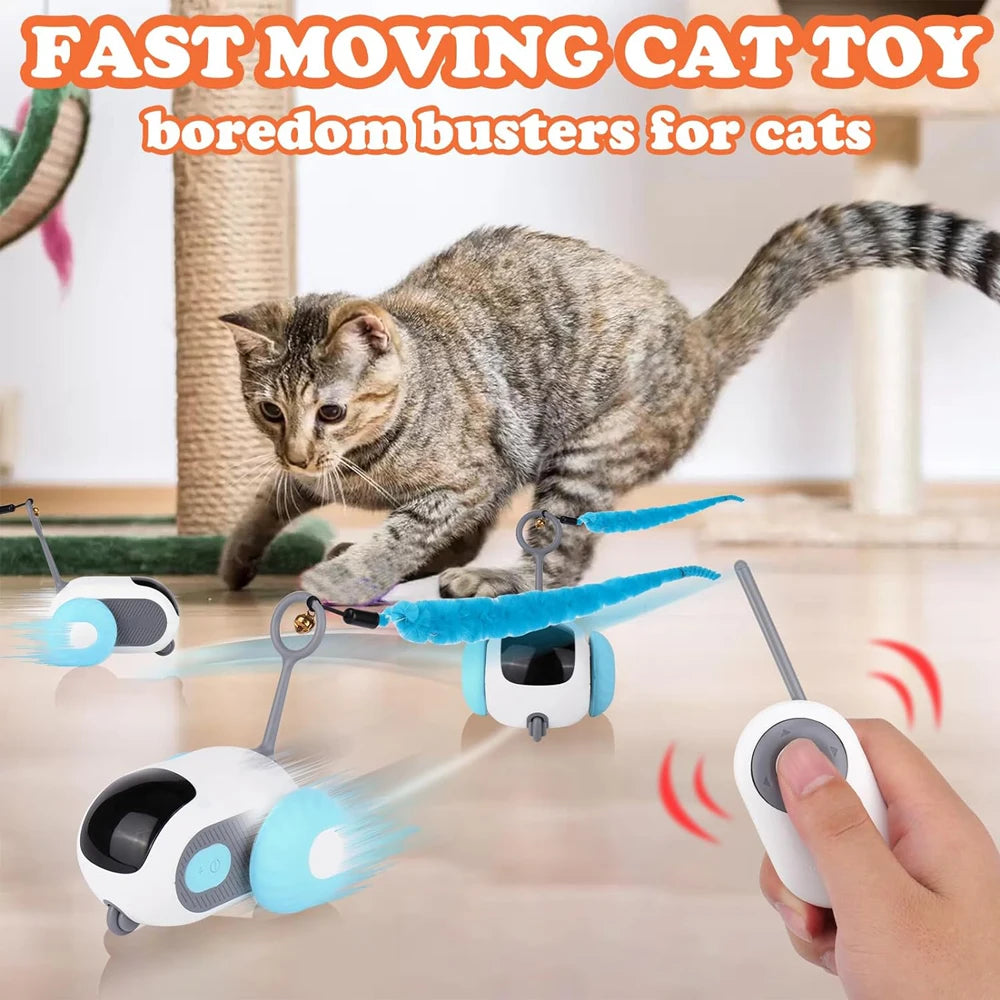 The Ultimate RC Toy for Cats