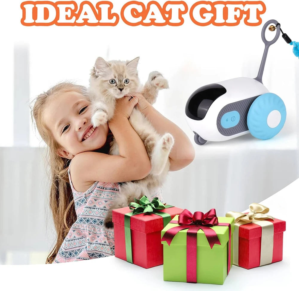 The Ultimate RC Toy for Cats