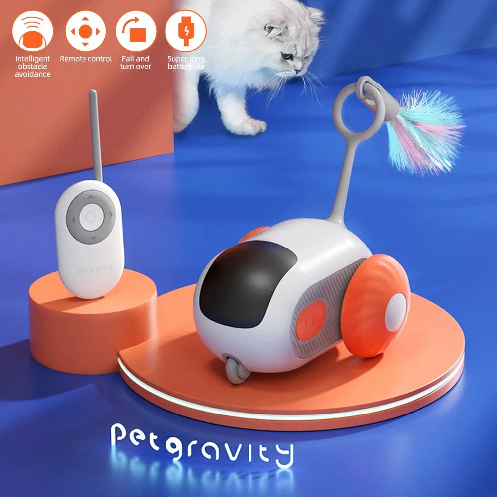The Ultimate RC Toy for Cats