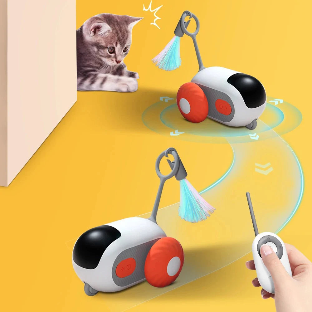 The Ultimate RC Toy for Cats