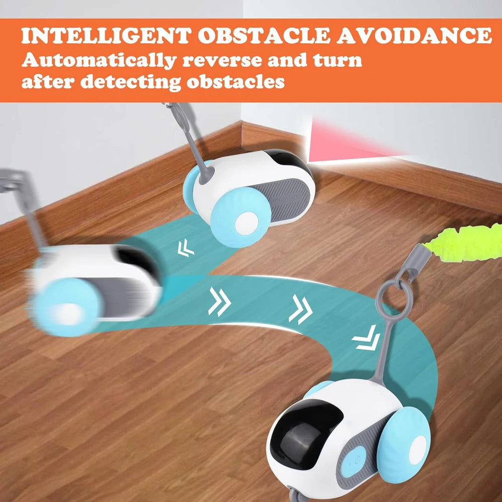 The Ultimate RC Toy for Cats