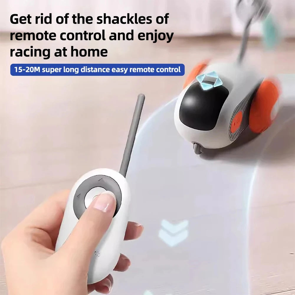 The Ultimate RC Toy for Cats