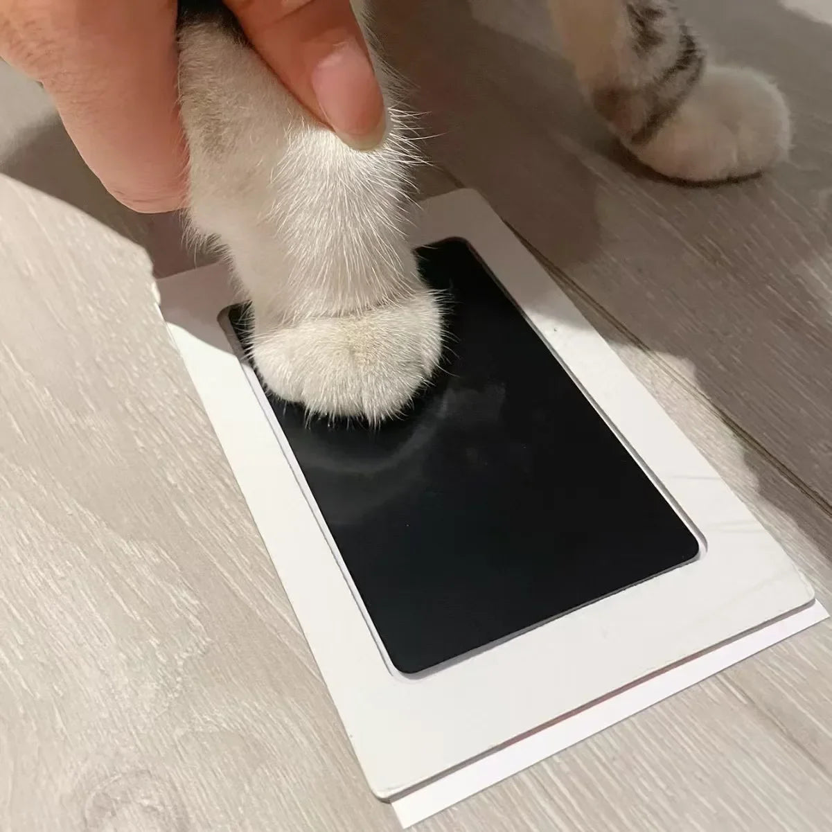 B-Vets Non-Toxic Ink Pads