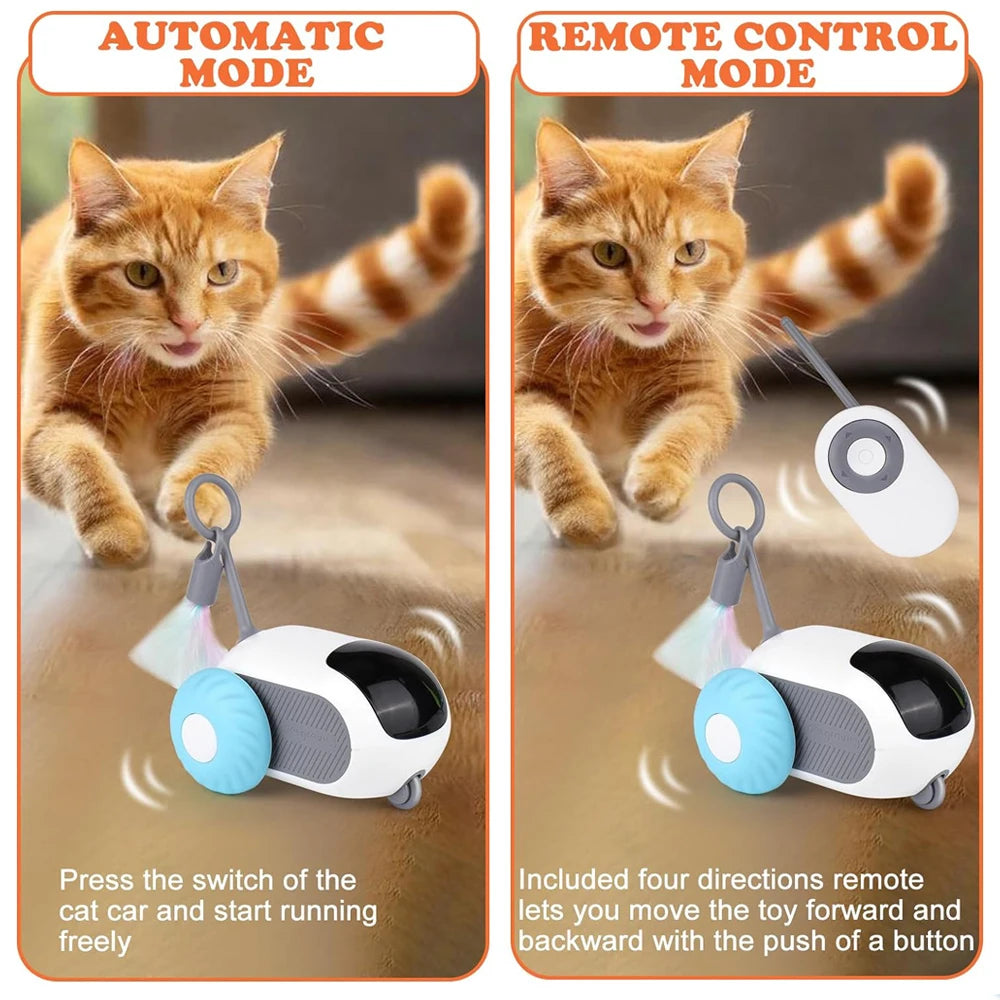 The Ultimate RC Toy for Cats