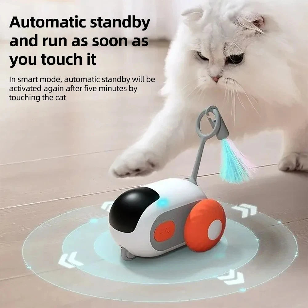 The Ultimate RC Toy for Cats