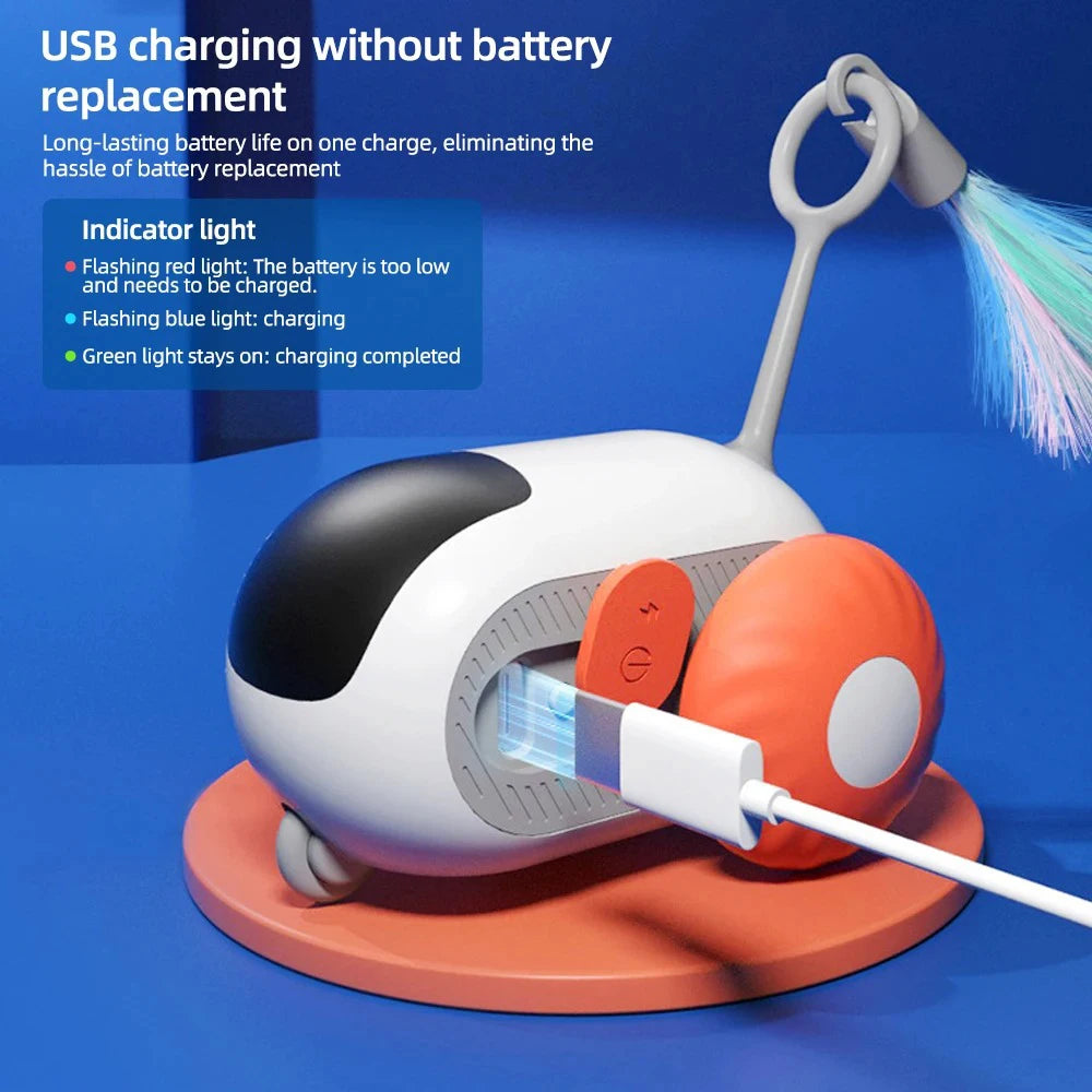 The Ultimate RC Toy for Cats