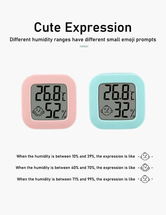 LCD Digital Thermometer