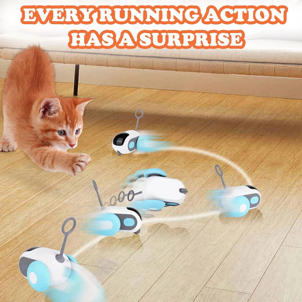 The Ultimate RC Toy for Cats