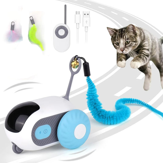 The Ultimate RC Toy for Cats